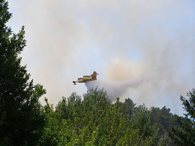 débroussaillage : canadair qui éteint un feu de forêt