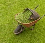 jardinage et services à domicile