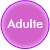 Cours pour adulte préparation, remise à niveaux, entretien